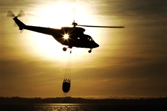 Exposición Pontevedra no Obxectivo 12 Fotoxornalistas  - Museum of Pontevedra