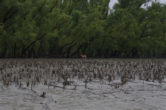 Tomoko Yoneda: Beyond Memory - Grimaldi Gavin