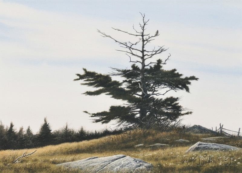 Robert Verity Clem | Hawk and Pine (1974) | MutualArt