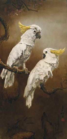 Cockatoos