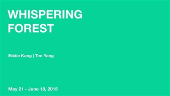 Whispering Forest - Gallery IHN