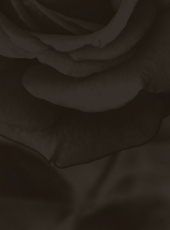 Colby Bird: Hope Goes with Man to the Foot  of the Gallows - Lora Reynolds Gallery