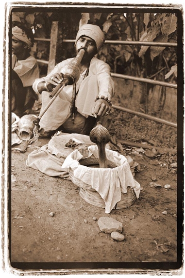 Snake Charmer (Nepal)
