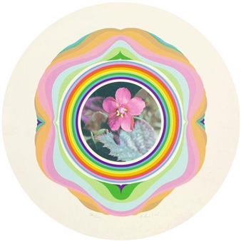 UNTITLED - Gernot Bubenik