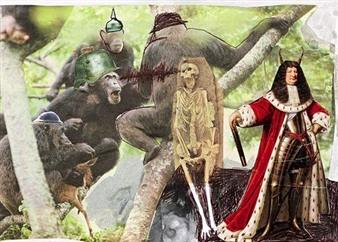 UNTITLED - Tine Furler