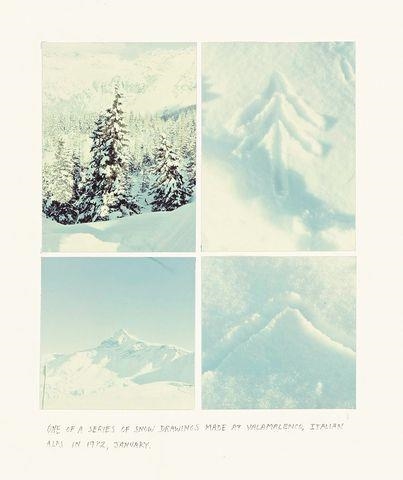 TREE AND MOUNTAIN by Peter Hutchinson, 1972