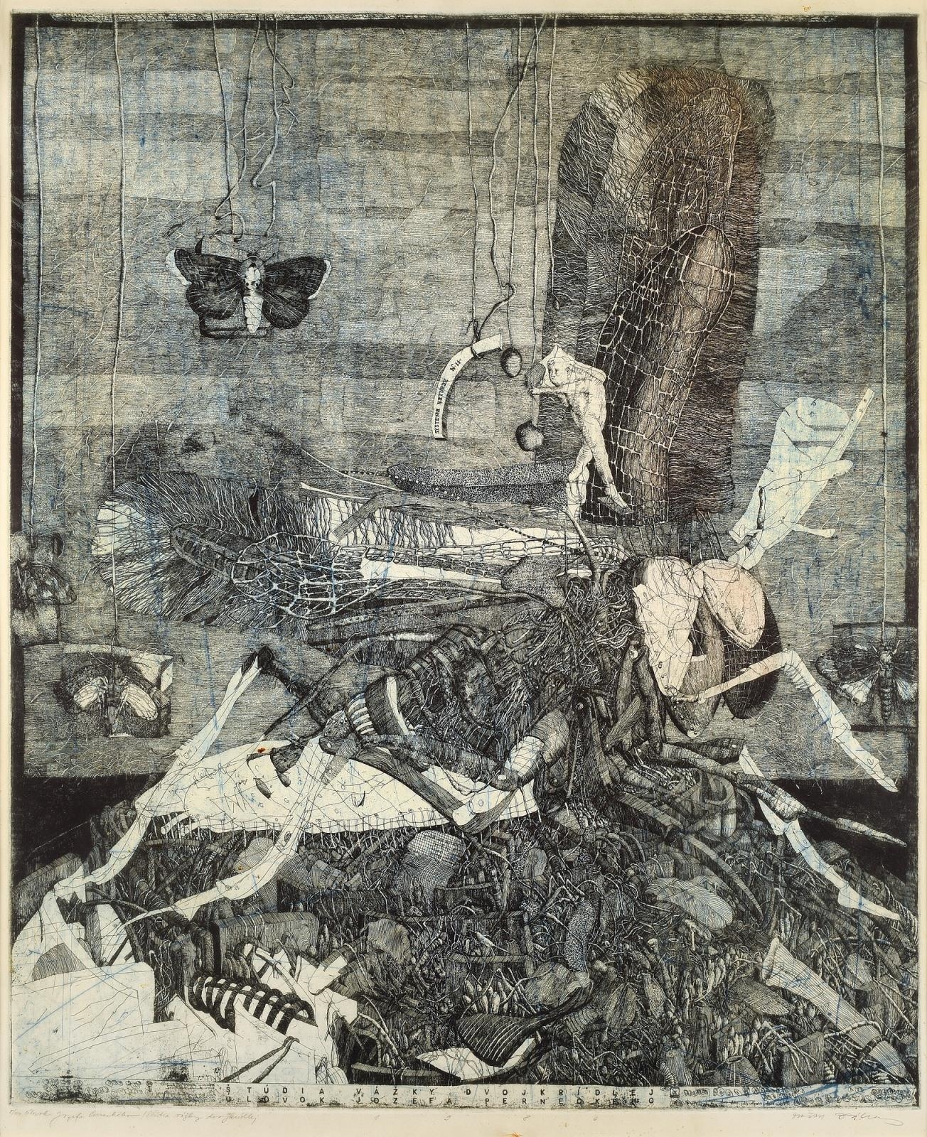Štúdia vážky dvojkrídlej by Dušan Kállay, 1986