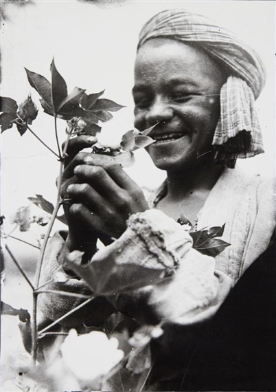 His Own First Cotton Yield (Seine Erste Eigene Baumwollernte) Uzbek Ssr, Samarkand Region