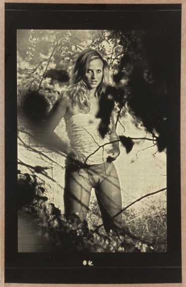 Fruit garden by Michal Köpping, 2013