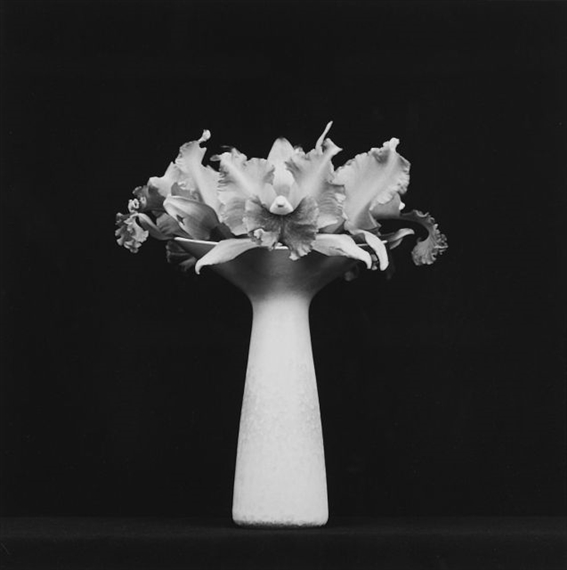 ORCHIDS IN VASE by Robert Mapplethorpe, 1983