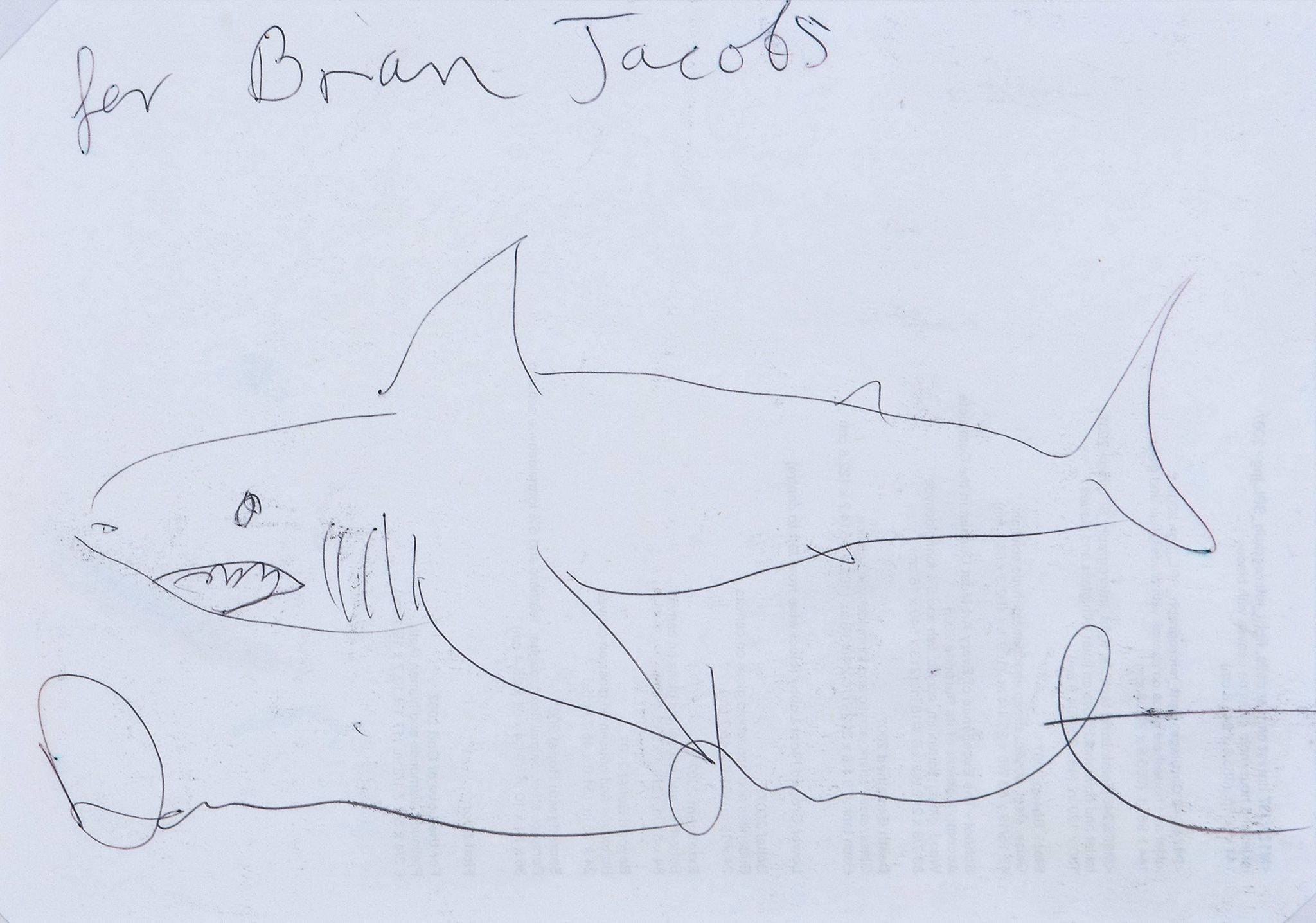 Shark by Damien Hirst, circa 2007