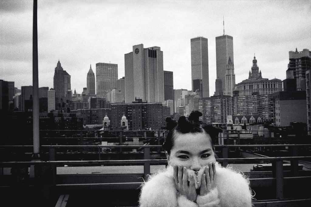 Artwork by Stephane Sednaoui, Bjork, Big Time Sensuality, Made of Posterior pigment print mounted on aluminum
