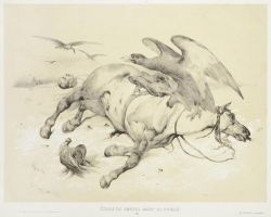 Study of Death Horse and Eagle by Victor Adam