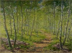 Birch Grove in Spring (Passage From Pisárky) by František Myslivec, 1965