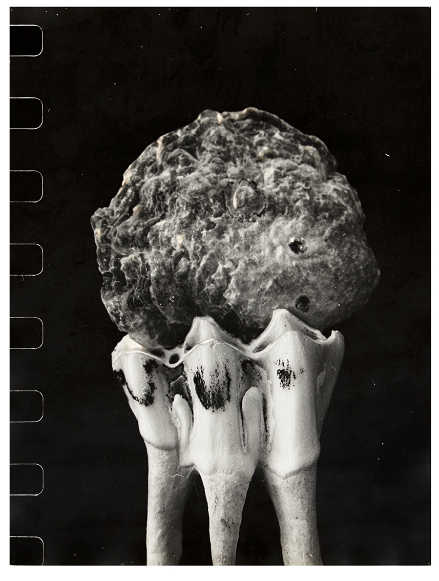 Artwork by Shirley Gruar, Untitled, Made of gelatin silver print