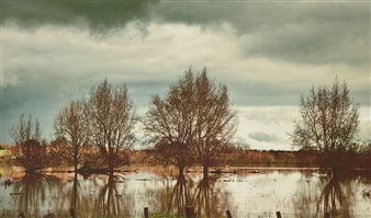 Swollen River - Leon Rose