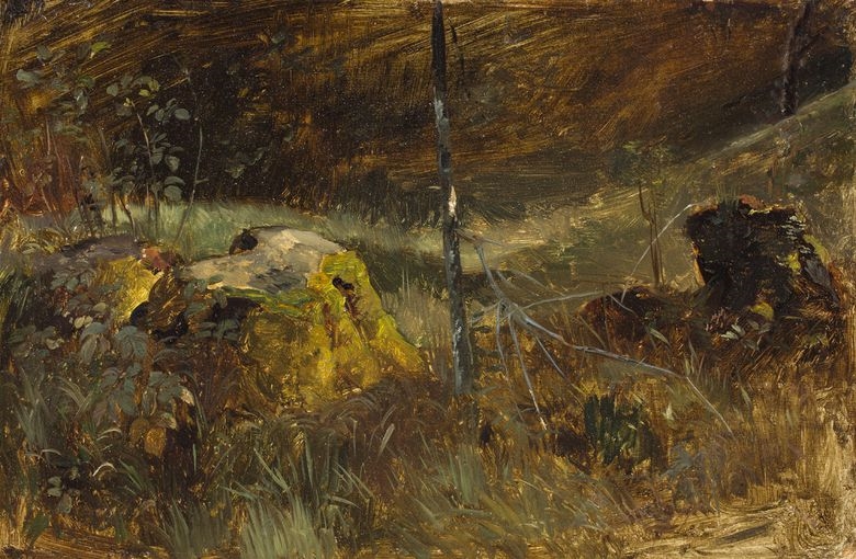 Carl Roux | Waldinneres mit baumstumpf | MutualArt