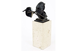 The Mask by Theodore Gall