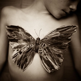 Photography that Takes Flight: Lori Vrba Exhibits Strength and Vulnerability in "The Moth Wing Diaries"