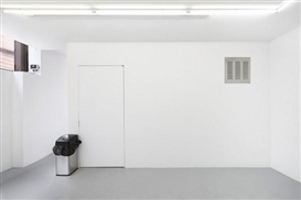 Marte Eknæs and Sean Raspet: Calculus of Negligence at Room East