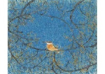 Jade by Seison Maeda