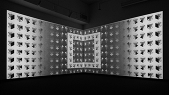 Liu Chang, Miao Jing & Gan Jian: INFINITE - Carroll / Fletcher