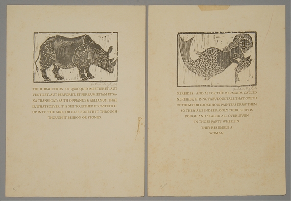 2 works:  A rhinoceros and a mermaid by Helen Siegl