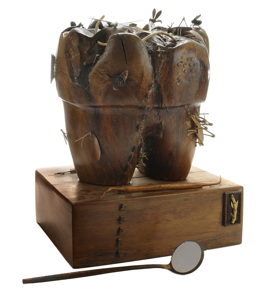Perry Policicchio | Tooth with Insects | MutualArt