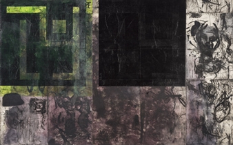 Mike Parr: The Deep North - Anna Schwartz Gallery, Sydney