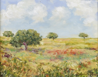 Manhã - Sylvia Purwin Figueiredo Hawk Trigoso