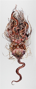 Chimera - Rohini Devasher