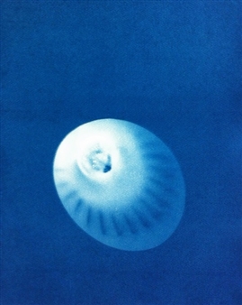 Elin O'hara Slavick - Cohen Gallery