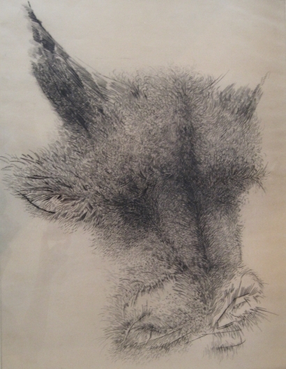 The Bull by Gabor Peterdi, 1969