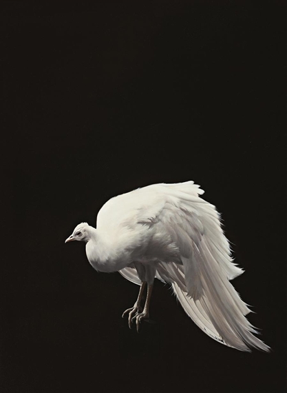 Peacock by Sam Leach, 2008