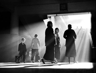 FAN HO: INTO THE LIGHT - m97 Gallery