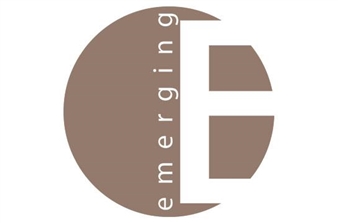 Emerging VIII - The G2 Gallery