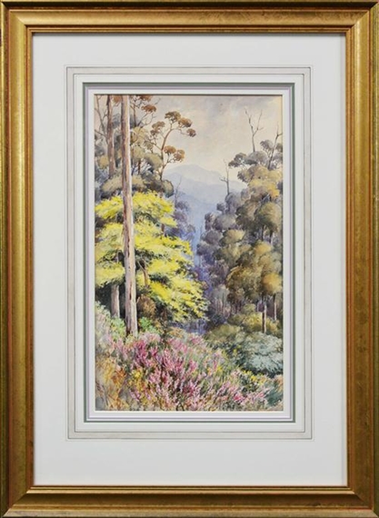 Wattle & Heather by Marian Ellis Rowan