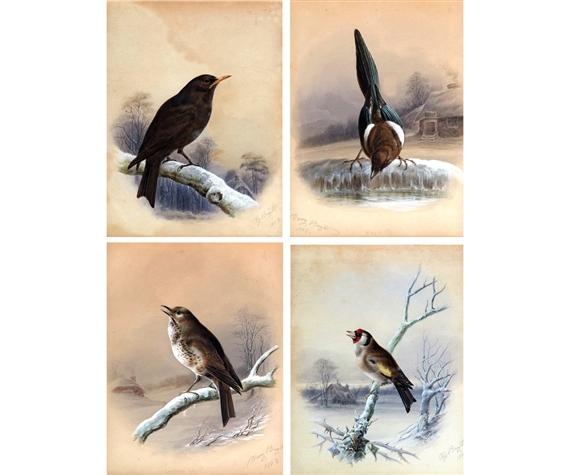 Set of 4 Works: Winter Scenes with Thrush, Blackbird, Magpie and Goldfinch by Harry Bright, 1883