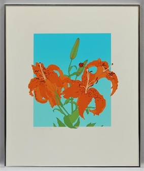 Lilies and Ladybirds - Philip Sheffield