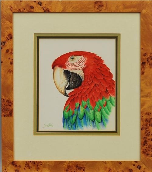 Greenwing Macaw by Eric Peake, 1996