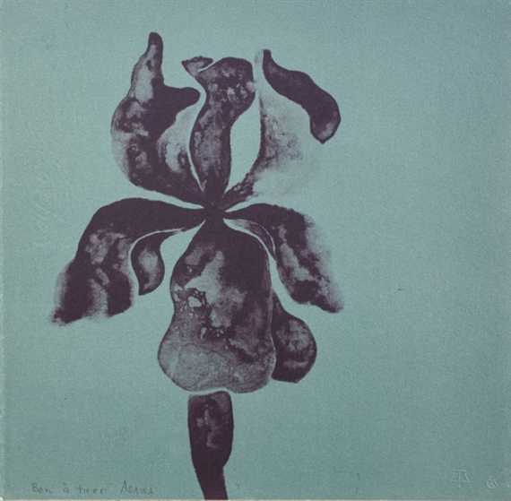 Untitled (iris) by Ruth Asawa, 1970