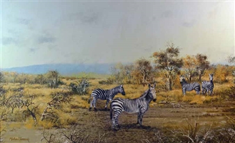 Zebras - Michael Hancock