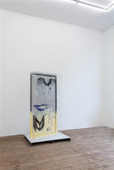 Thomas van Linge: This Isn't Even My Final Form - Galerie Gabriel Rolt