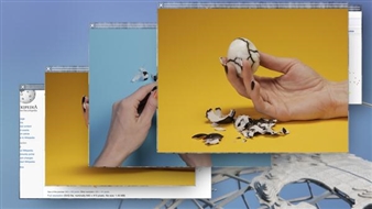 From the Archives: Prospect.3 New Orleans