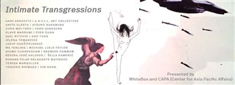 Intimate Transgressions - WhiteBox