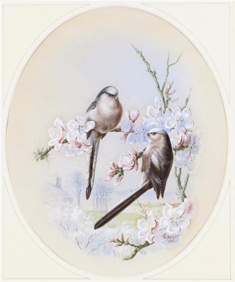 Long tailed tits by Harry Bright, 1884