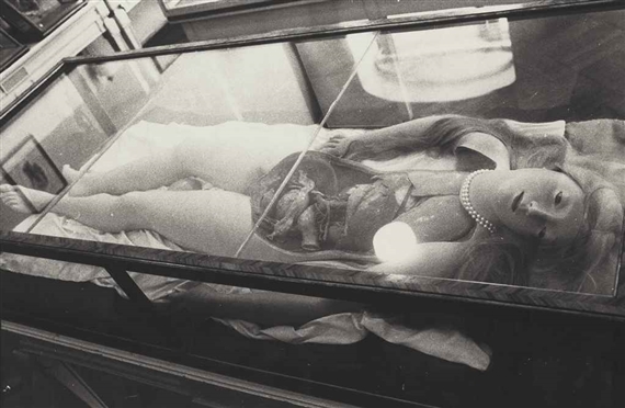 Wax Anatomical Model with Pearls by Zoe Leonard, 1990