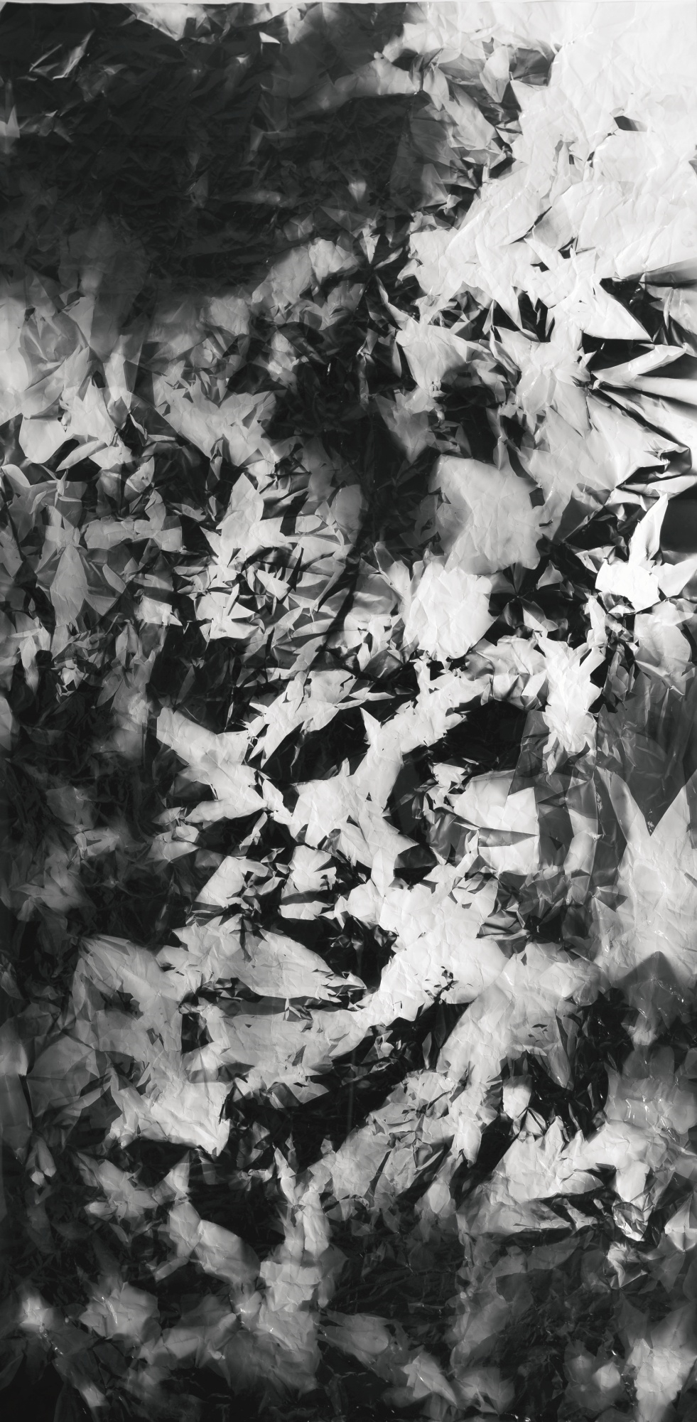 Artwork by Walead Beshty, PICTURE MADE BY MY HAND WITH THE ASSISTANCE OF LIGHT, Made of fiber based photo paper