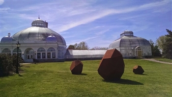 Shayne Dark: Natural Conditions at the Buffalo and Erie County Botanical Gardens - Buffalo AKG Art Museum