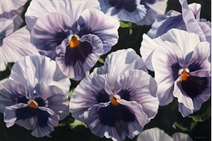 Artwork by Winifred Godfrey, Purple Pansies, Made of Oil on canvas